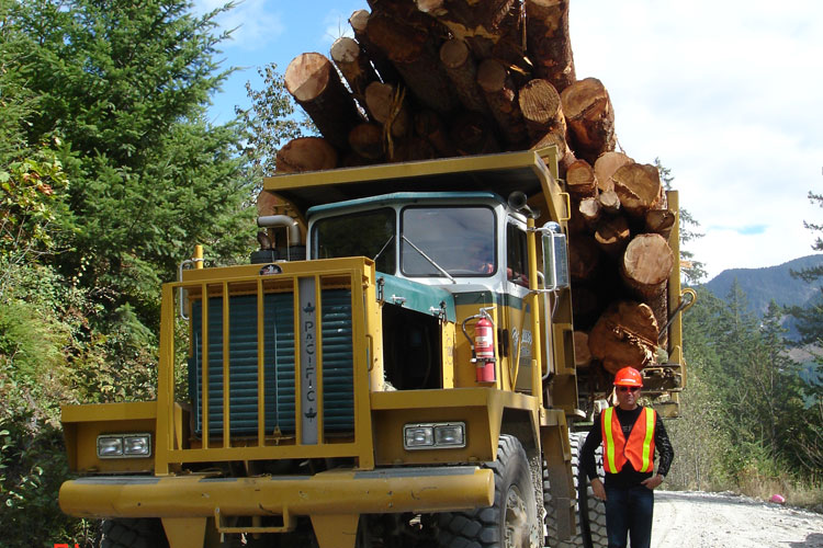 Camion de billes de bois